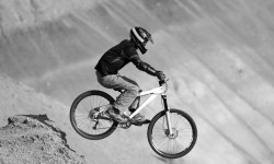 Etiam commodo convallis