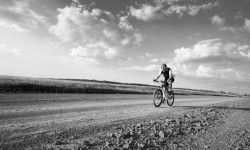 Donec in velit vel ipsum  auctor pulvinar