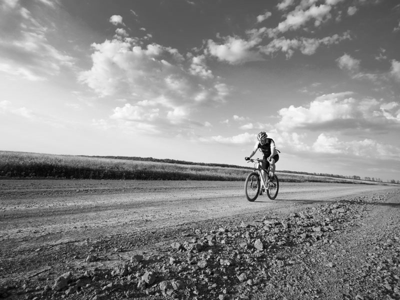 Donec in velit vel ipsum  auctor pulvinar